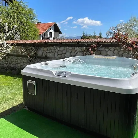 александра Guest house *