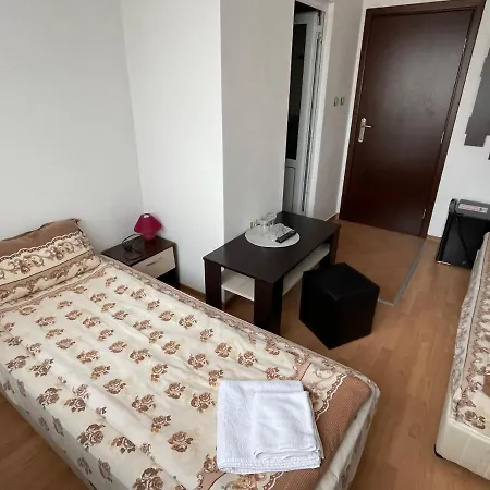 александра 招待所 3*