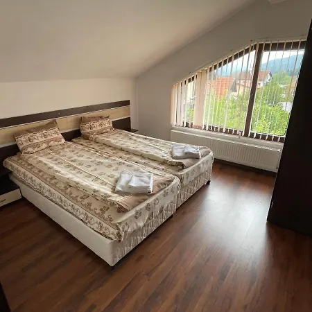 александра 3* 多布里尼什特