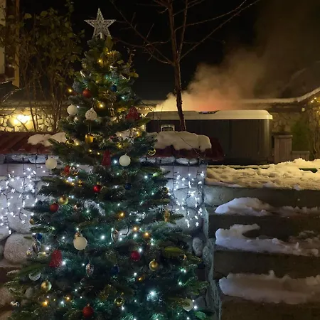 александра Πανσιόν Dobrinishte