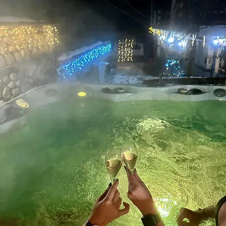 александра 多布里尼什特