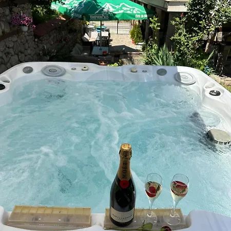 招待所 александра 3*