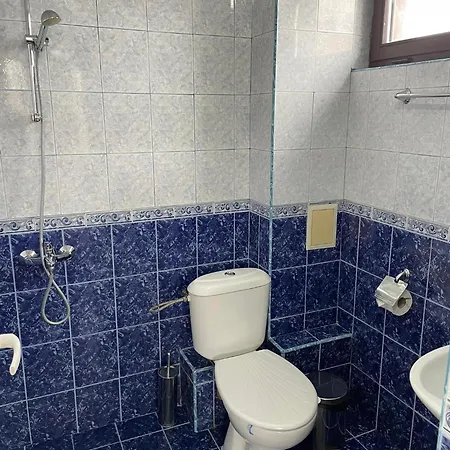 александра 3* Dobrinishte
