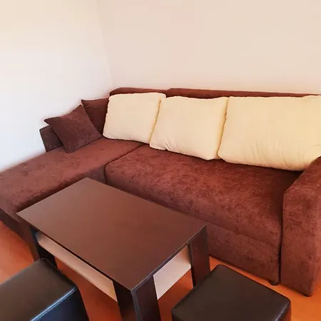 招待所 александра