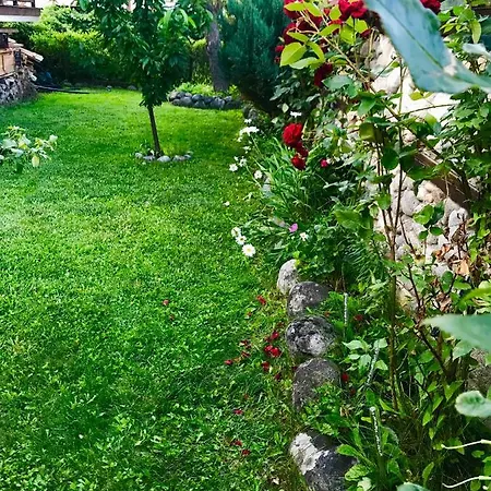 招待所 александра