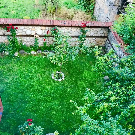 александра Dobrinishte