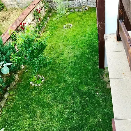 招待所 александра 多布里尼什特