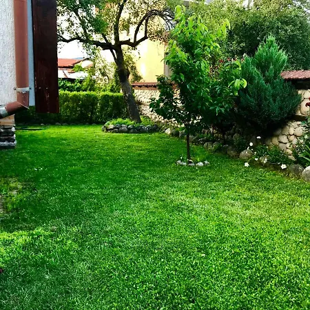 招待所 александра 多布里尼什特