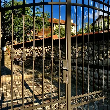 александра Dobrinishte