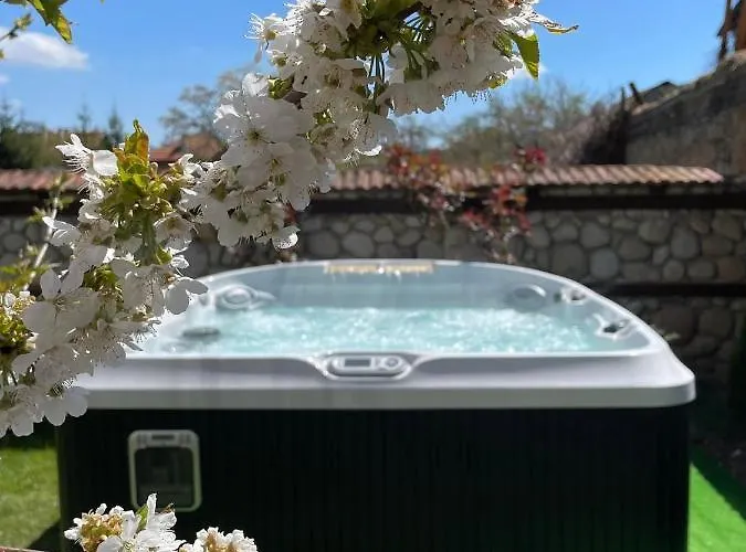 александра 3* Dobrinishte