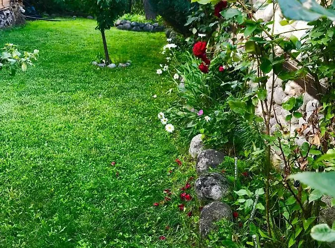 Affittacamere александра