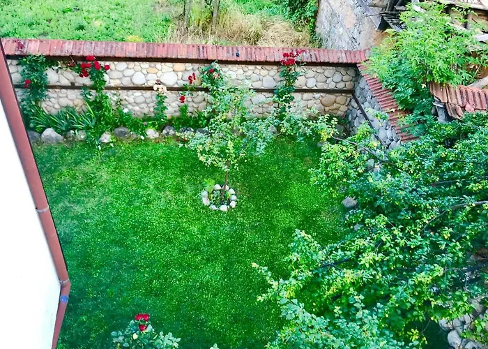 александра Dobrinishte