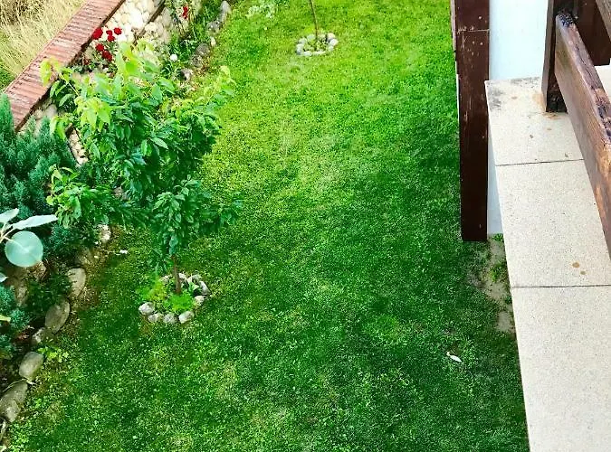 Affittacamere александра Dobrinishte