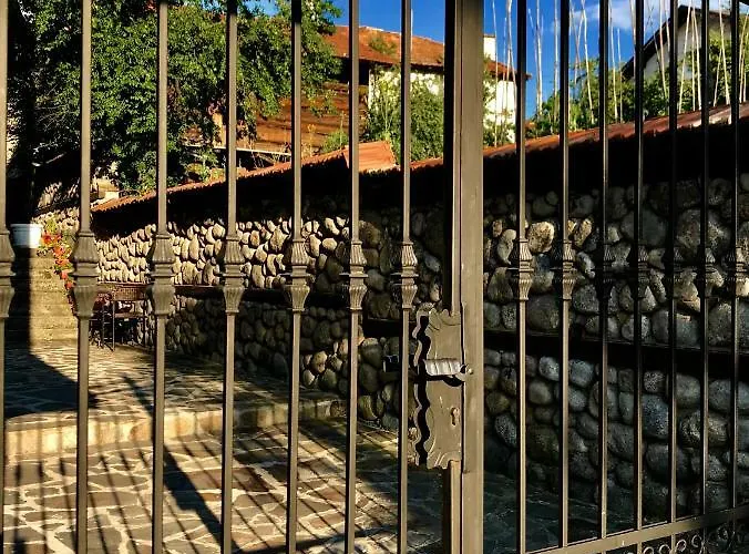 александра Dobrinishte